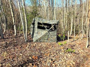 Eagle Hills Road Eagle Hls, Purlear, NC 28665