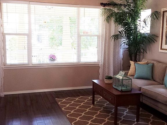 Large Windows in Living Room