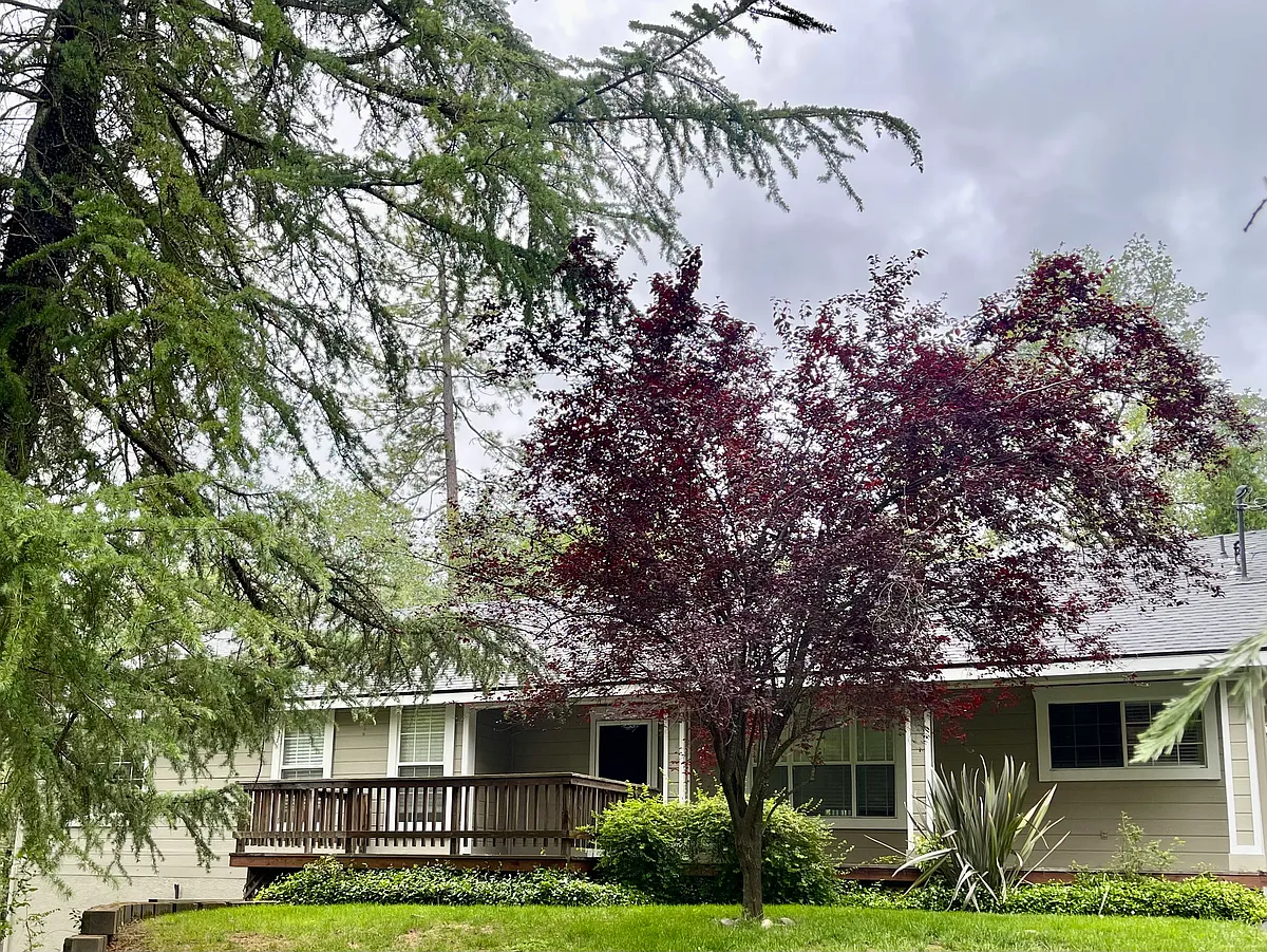 Building Photo - 858 Evergreen Ln