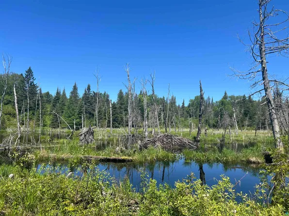 Xxx3 Heffelfinger Trl, Silver Bay, MN 55614