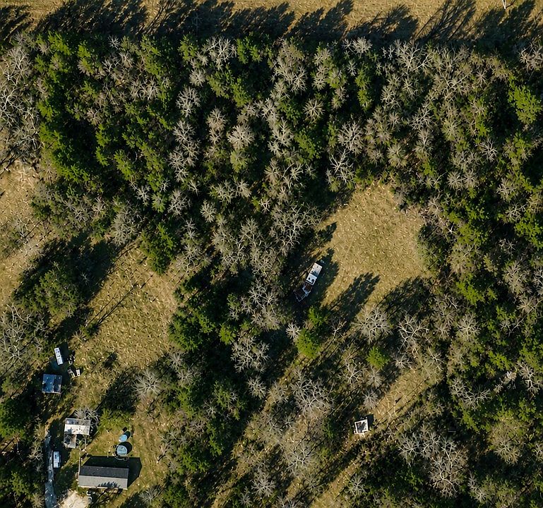 2nd image of 186 Groveland Dr