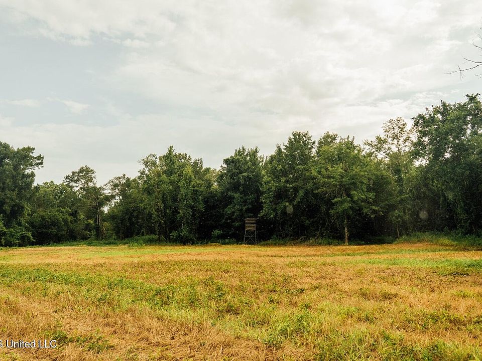 28th image of this home