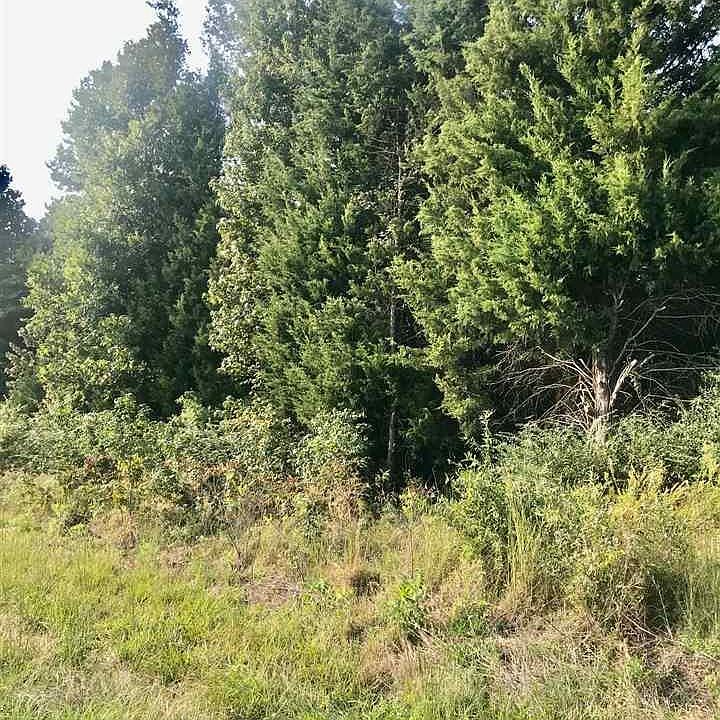 2nd image of 10.88 Acres Cres #4885