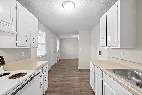 2 Bedroom Pet Friendly Apartment For Rent Near APSU! Photo 1 2 Bedroom Pet Friendly Apartment For Rent Near APSU! Photo 1