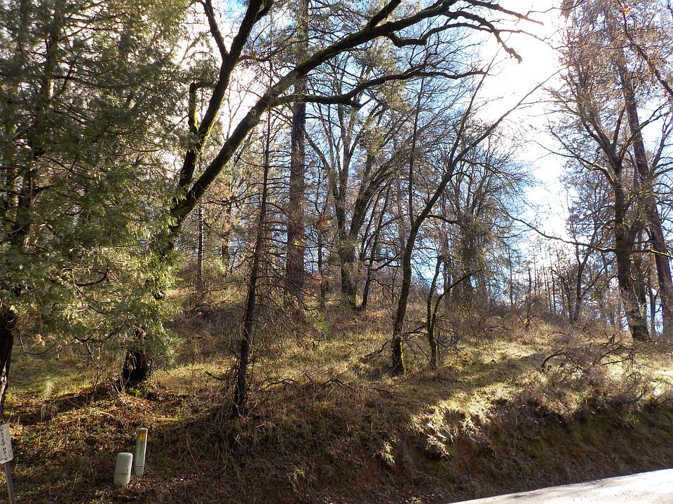 2nd image of 1196 Patricia Way