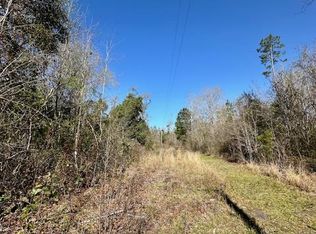 4 Pineview Dr, Wewahitchka, FL 32465