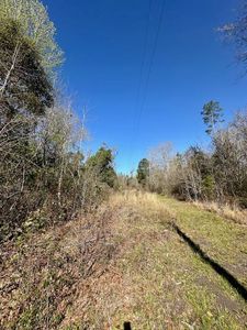 4 Pineview Dr, Wewahitchka, FL, 32465