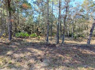 18107 Necklace Warbler Ave, Brooksville, FL 34614