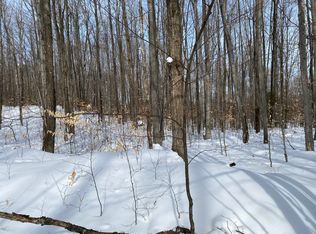 15104 Promenade Des Skieurs, Wolverine, MI 49799