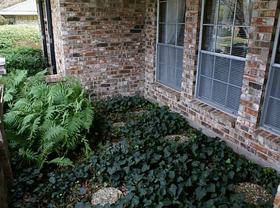 2nd image of 2516 Bengal Ln