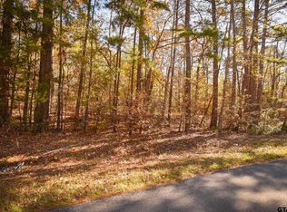 Big Oak Bay Rd TRACT 4, Tyler, TX 75707