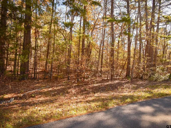 Big Oak Bay Rd Tract 4, Tyler, TX 75707