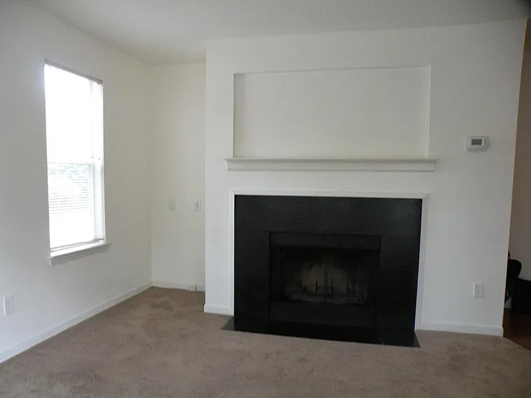 Living room fireplace