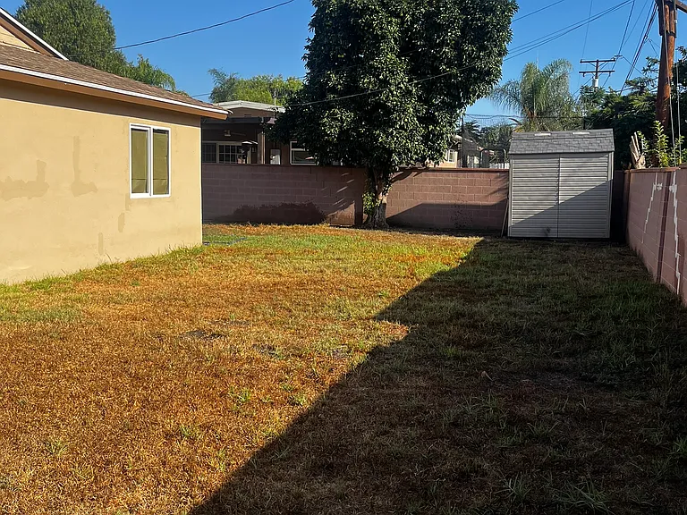 Backyard
