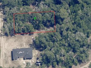 610 Dalwood Ave, Inverness, FL 34453