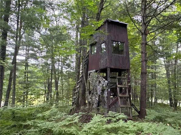 00 McKinley St., Mckinley, WI 54829