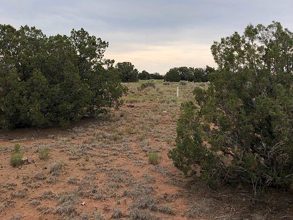 4th image of 12 E Arrowhead Cir Lot 317