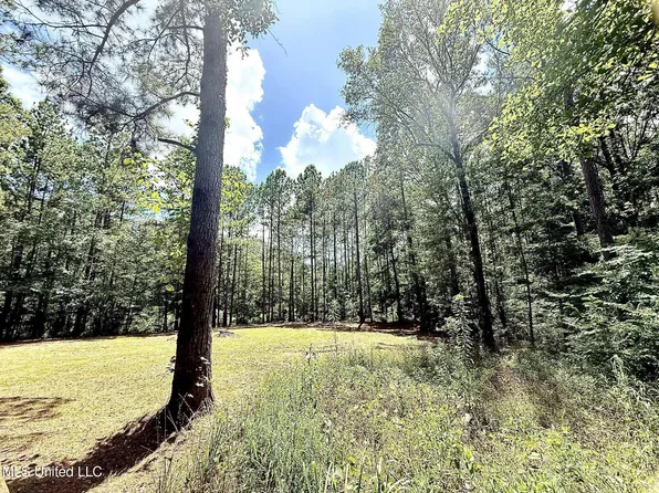 Old Jackson Rd, Terry, MS 39170