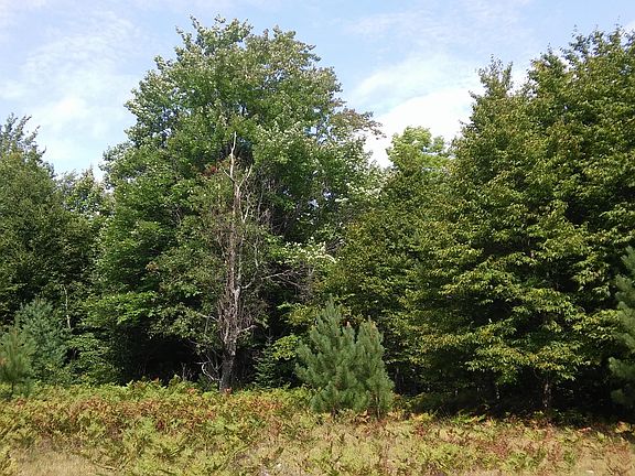 4th image of 1448 Badgley Road 40 Acres