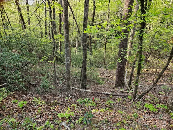 0 Huntington Rd #54, Lake Lure, NC 28746