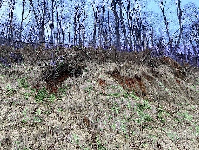 1st image of 89 Weeping Cherry Forest Rd