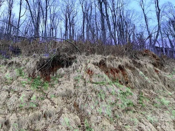 89 Weeping Cherry Forest Rd, Fairview, NC 28730