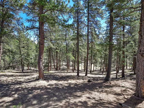 860 Spring Valley Drive LOT 13, Divide, CO 80814