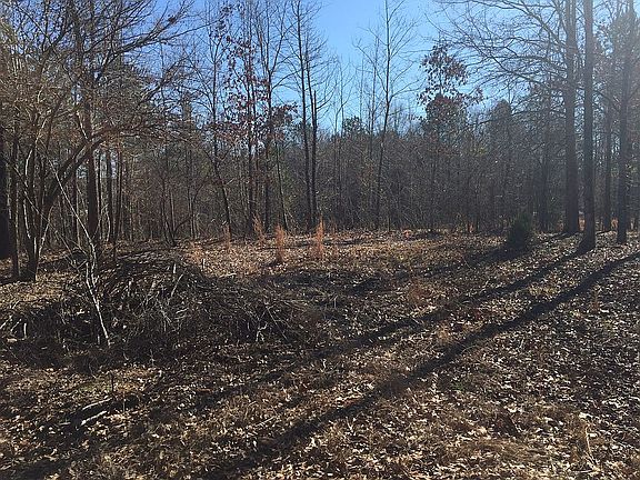 5th image of 1071 Darlington Dr