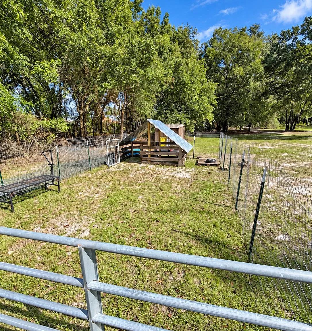 3 bed, 1120 sqft, $3,800 — Photo 4