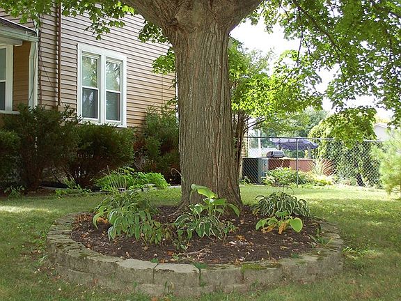 4th image of 235 Iberia St