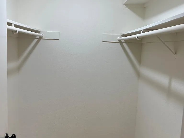 Master Walk in closet