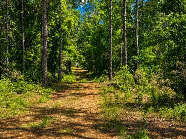 0 Lower River Rd, Blakely, GA 39823