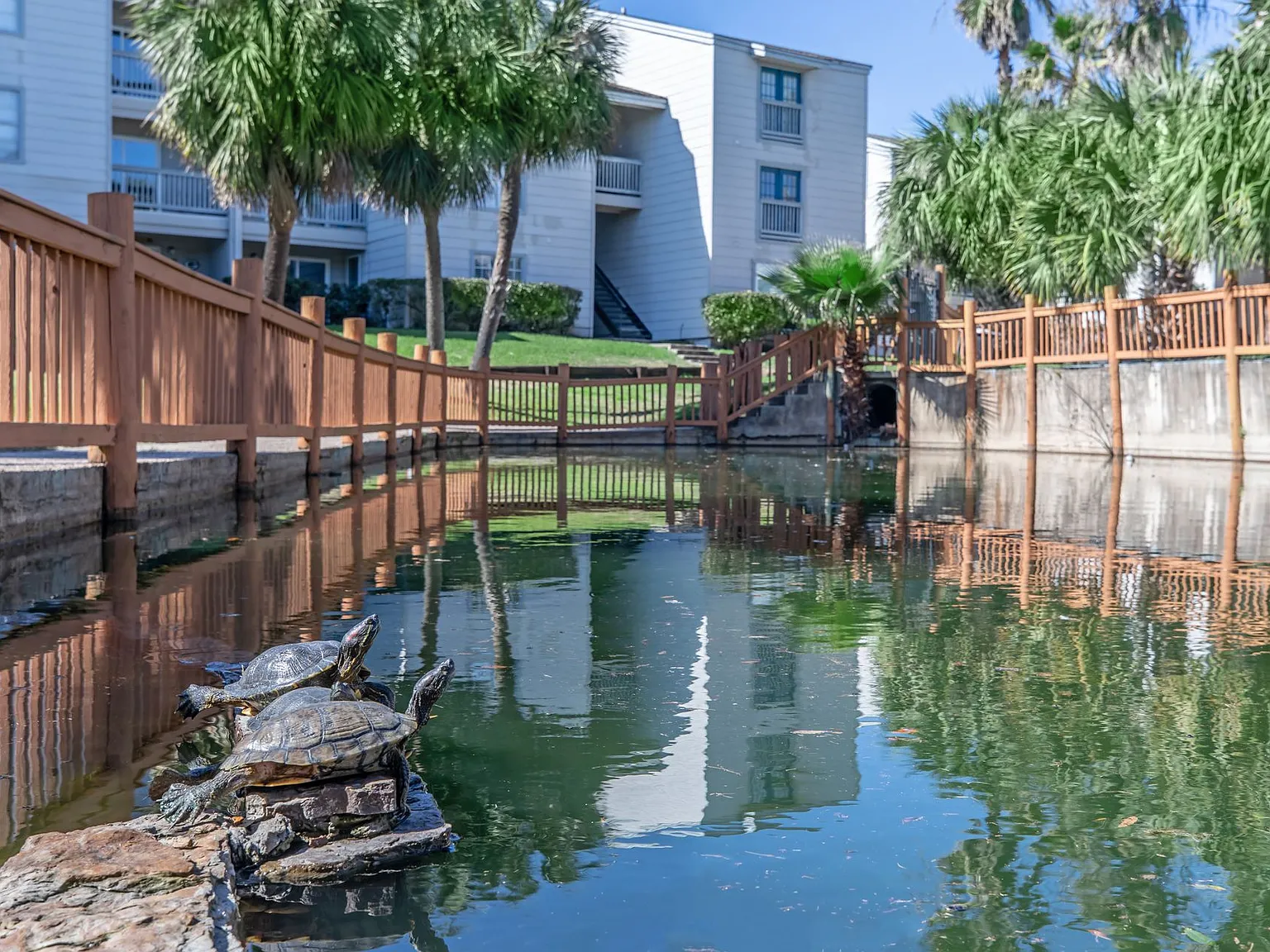 Island Bay Resort Apartments — Photo 4