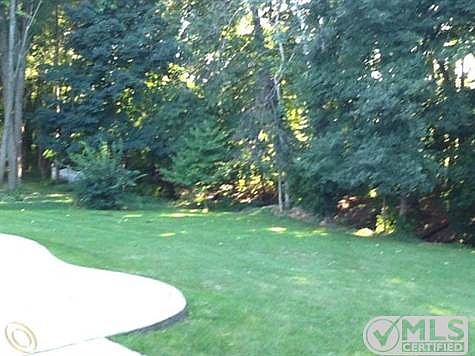 Back Yard.JPG
