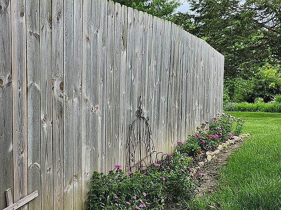 side yard (dog yard)