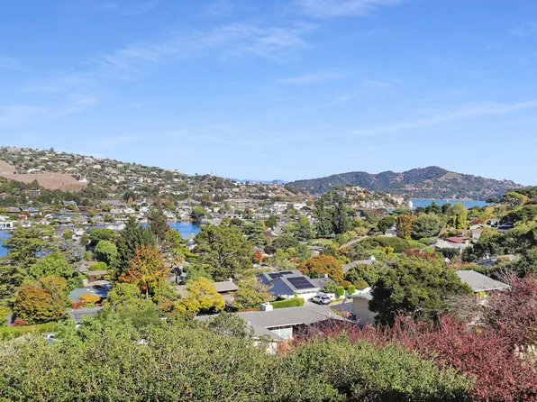 2 Buckeye Rd, Belvedere, CA 94920