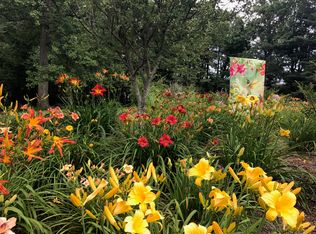 2856 Terrys Mill Rd, Stuart, VA 24120