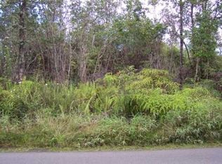 Road 1, Mountain View, HI 96771