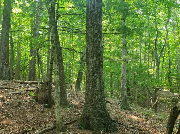 Lilly Ln, Hot Springs, VA 24445