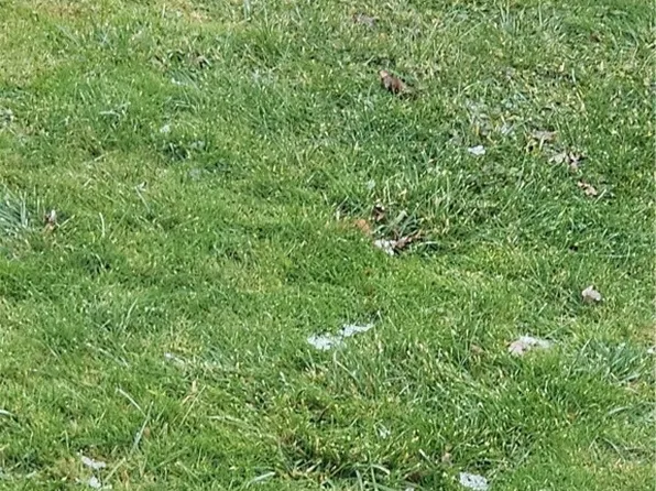 0 Bolivar Rd #24, Scio, NY 14880