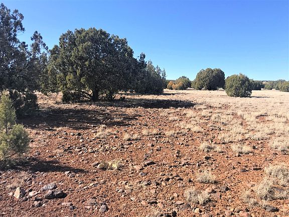 4th image of 58 Juniper Woods