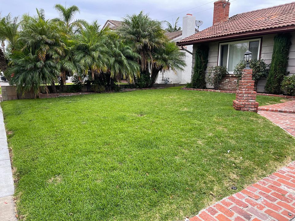 Front yard