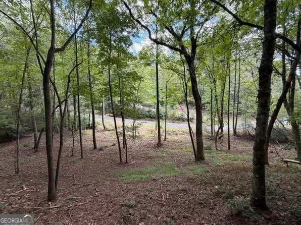 133 Seneca Dr, Ellijay, GA 30540