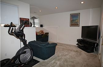 Lower Level Family Room with Fireplace