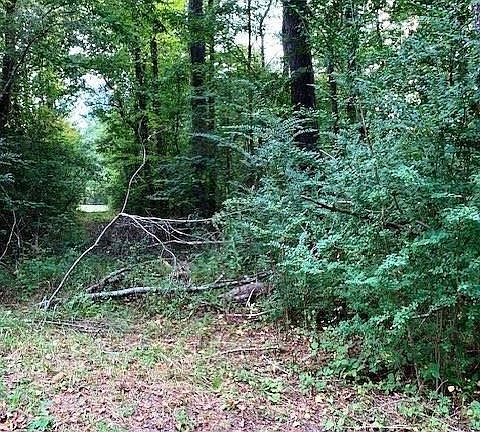 4th image of 53 Bear Creek Cir #53