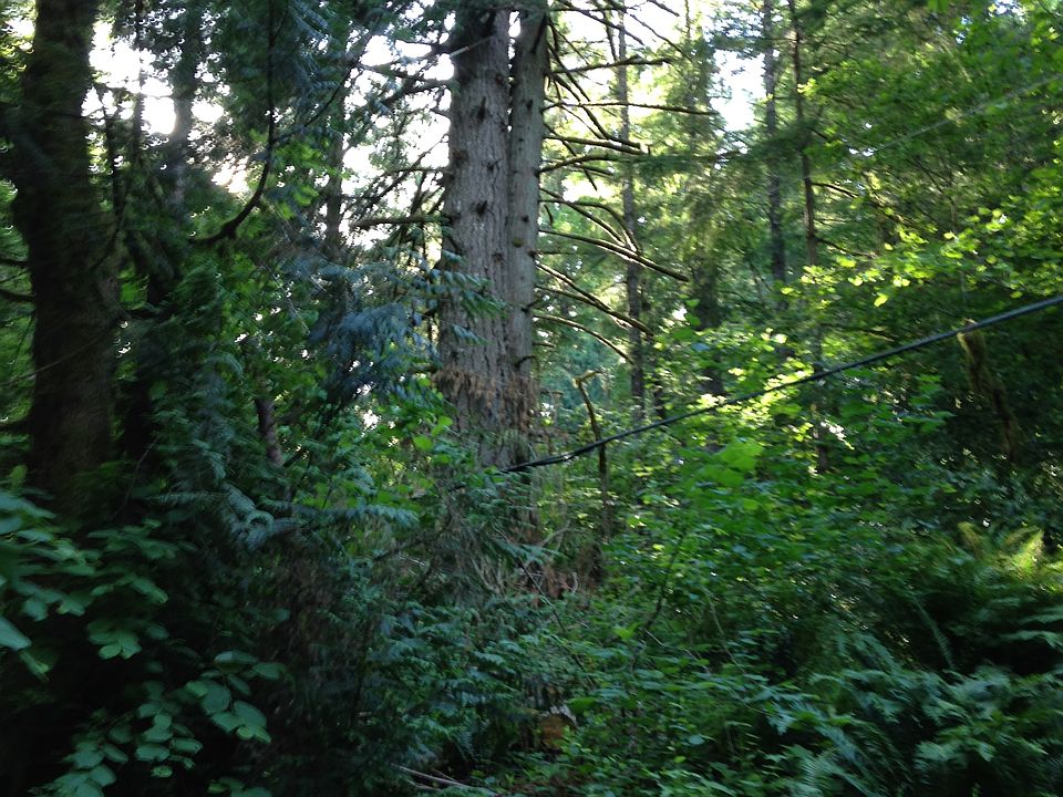 2nd image of 19500 S Creek Rd