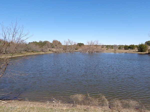 1st image of 280 Acres On Fm #1241