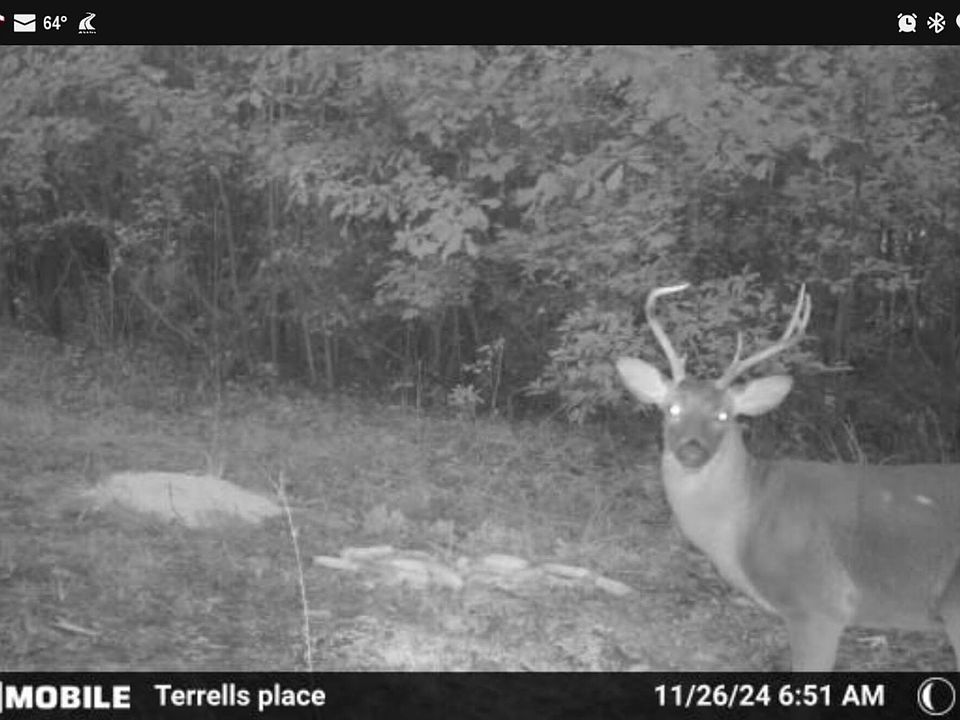 2nd image of 0 Glen St
