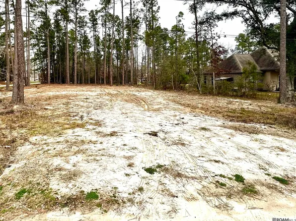 26711 Jill Rd, Holden, LA 70744