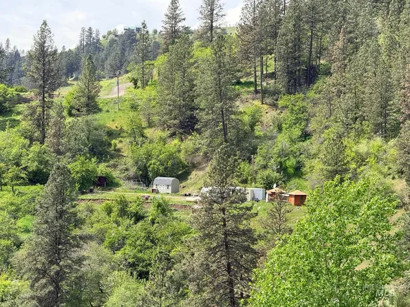 620 Old Peck Grade, Lenore, ID 83541
